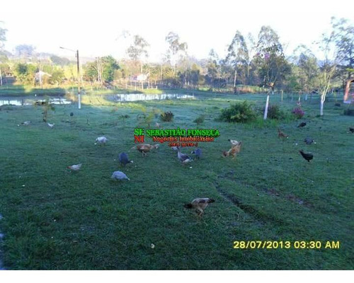 Imagem 7 de 15 de Chácara Excelente 13 Mil M² Em Caçapava - 1841