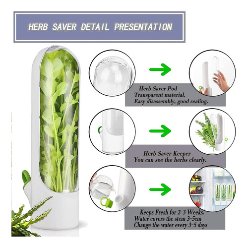 2024 Conservador De Hierbas Frescas, Cilantro Contenedor 1ps