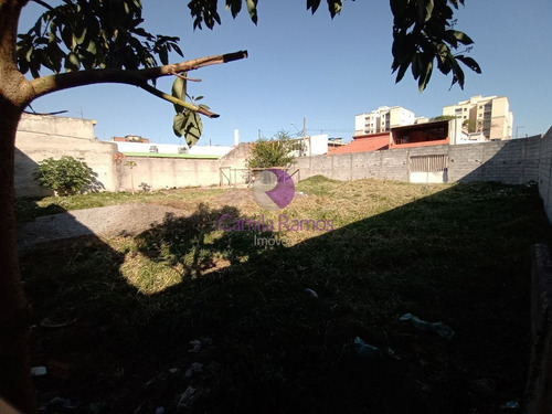 Imagem 8 de 8 de Terreno À Venda 270 M² - Vila Urupês - Suzano/sp. - Te00180 - 69366953