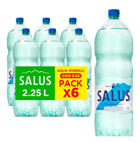 Funda X6 Salus Agua Con Gas 2.25lt