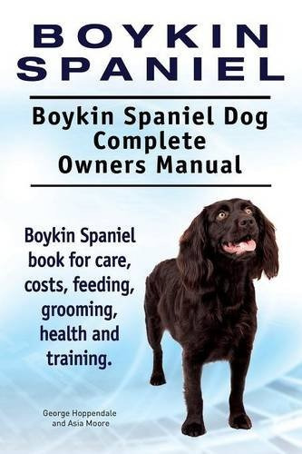 Boykin Spaniel Boykin Spaniel Perro Completo Propietario Man