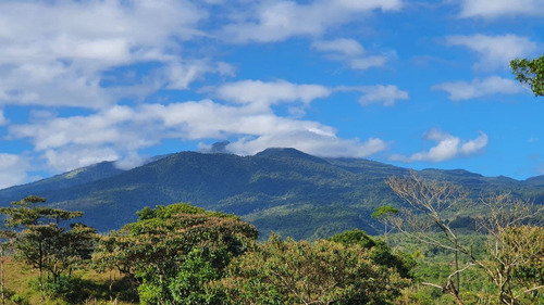 Imagen 1 de 9 de Finca De 31 Hectáreas