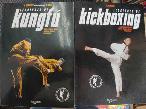 Lecciones De Kung Fu - Kickboxing - Defensa Personal 
