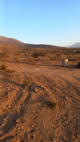 Entre Tongoy Y Guanaqueros
