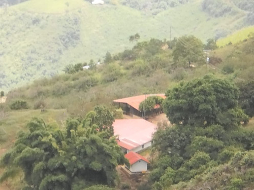 Finca Municipio Tovar Aragua