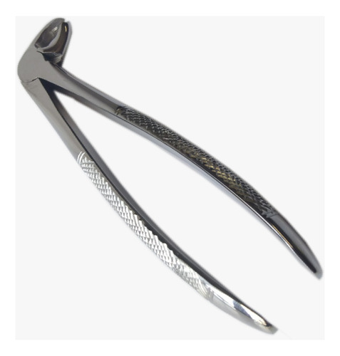 Forceps Dental Curvo Sobre El Borde-pico De Loro