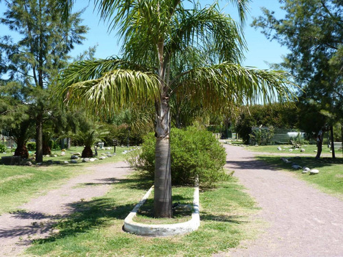 Imagen 6 de 17 de Negocio En Venta En Lobos