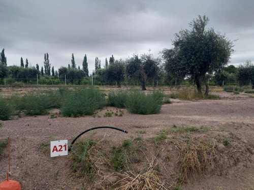 Imagen 11 de 13 de Venta Lote Barrio Privado Ayres De Terrada