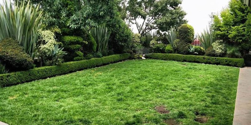 Imagen 19 de 19 de Vista Y Comodidad, Gran Jardín