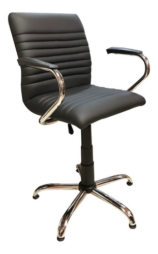 Imagen 1 de 7 de Sillón Cromado Peluquería Barbería Tapizado Con Envío Gratis