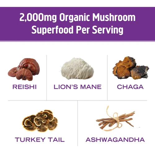 Mezcla De Hongos Con Mezcla De Chocolate Caliente Superfood,