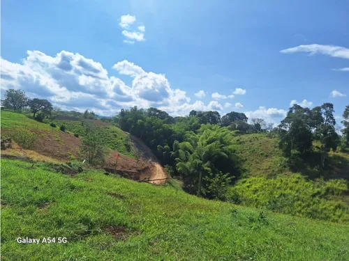 Venta Lotes En Quimbaya -quindío Colombia Cod: 7555717