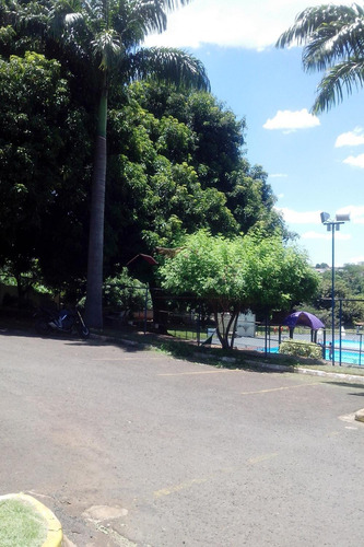 Apartamentos - Ref: V8368