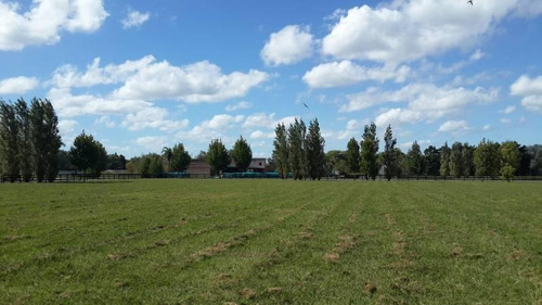 Imagen 9 de 29 de Oportunidad Venta De Amplio Lote En La Mejor Zona De Polo - Caspian Polo Chacras