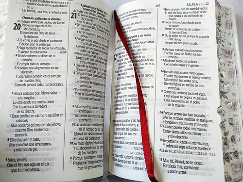 Imagen 8 de 10 de Biblia Rvr1960 Let. Grande Imitac. Piel Blanco Flor E Índice