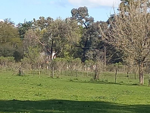 Imagen 19 de 21 de Chacra - 47 Has Panamericana Ramal Pilar Km 61
