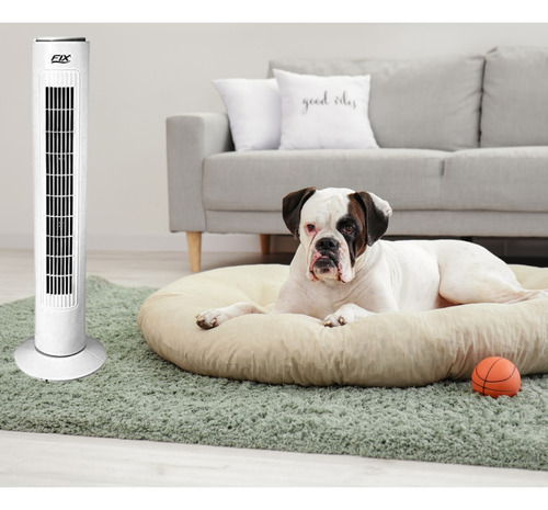 Circulador Ventilador Silencioso Fix 220v 40w Branco Chão