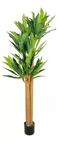 Palo De Brasil Artificial Decorativo 180cm + Maceta Regalo