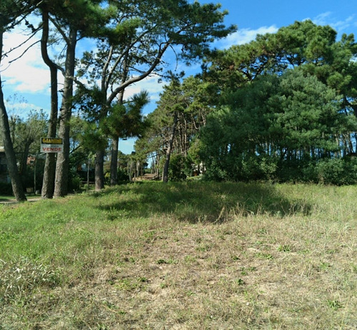 Imagen 6 de 10 de Terreno En Venta En Mar Azul
