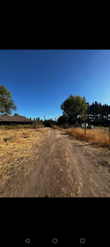 Venta De Parcelas De 5000mts Colin
