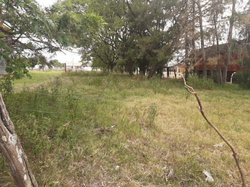 Imagen 17 de 20 de Terreno Esquina Céntrica Concordia, Los Charruas. Asfalto. Todos Los Servicios (400 M2).