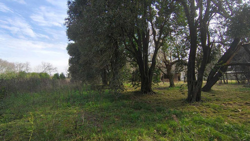 Venta Lote Terreno Chacras Canning 3278 M2 Totales