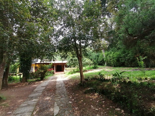 Imagen 4 de 30 de Vendo Hermosa Casa Con Amplio Terreno (2,389.89 Vrs²), Excelente Ubicación, Excelente Precio
