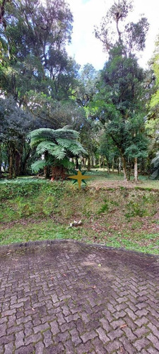 Imagem 2 de 16 de Terreno A Venda - 1083