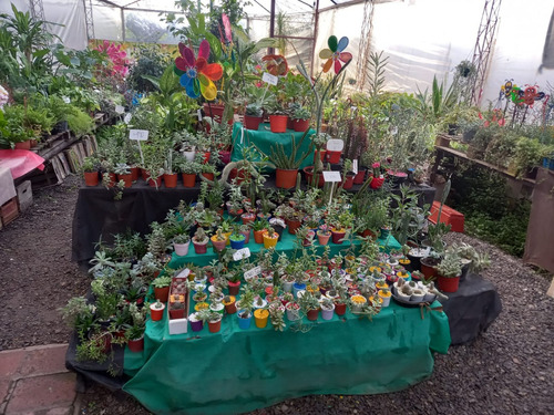 Comercio En Venta