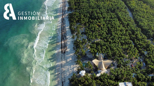 Imagen 2 de 10 de Terreno En Venta En La Reserva De Siankan Tulum. Ctv47.