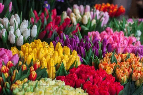 Kit 10 Quebra-Cabeças Flores e Rosas Cognitivo Reabilitação e