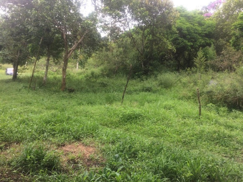 Chácara Em Itanhaém - 6035 - 68470348
