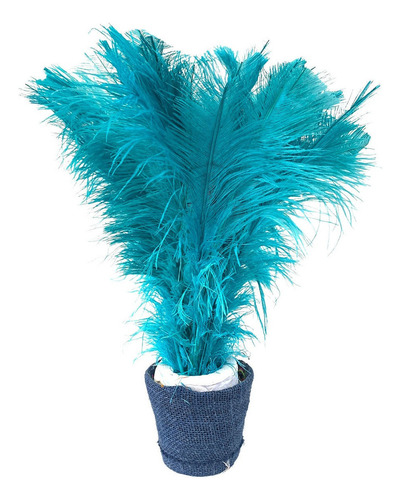 Plumas De Avestruz Tipo Palito P/ Arranjos E Decorações 100g Cor Tifani