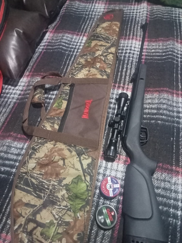 Rifle Gamo Calibre 5.5 (22) Mod Big Cat