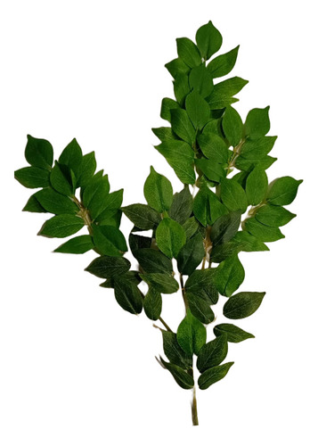 Varilla De Hojas Artificiales Ruscus Italiano De 60 Cm