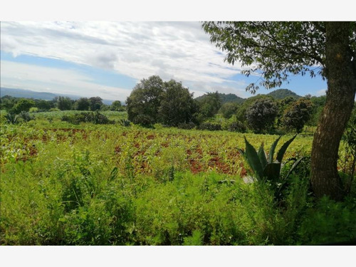 Terreno En Venta Construimos Tu Cabaña En Huasca!! En Medio Del Campo