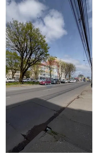 Local Comercial En Arriendo Concepción