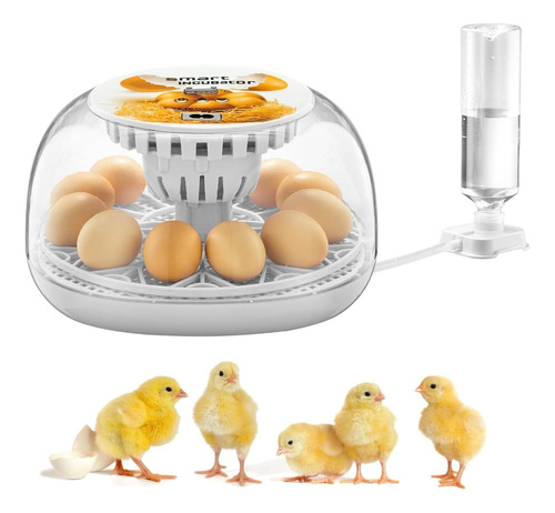 Incubadora De Huevos Hidratación Automática 12 Piezas