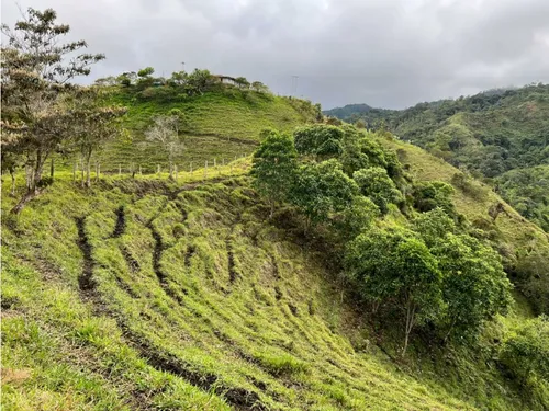 Venta De Finca En Vereda Paramillo, Fresno, Tolima