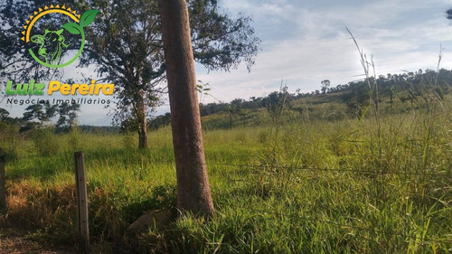 Imagem 4 de 15 de Fazenda À Venda Em Santa Tereza Do Tocantins-to-de 166 Alqueirões(pecuária) - 1692