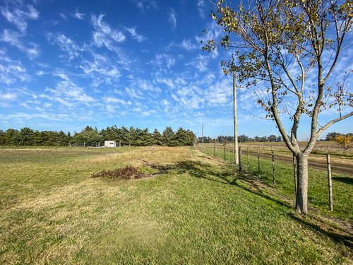 Imagen 12 de 14 de Lotes En Venta, 10.400 M2 Con Construcción Y Pileta. Tandil