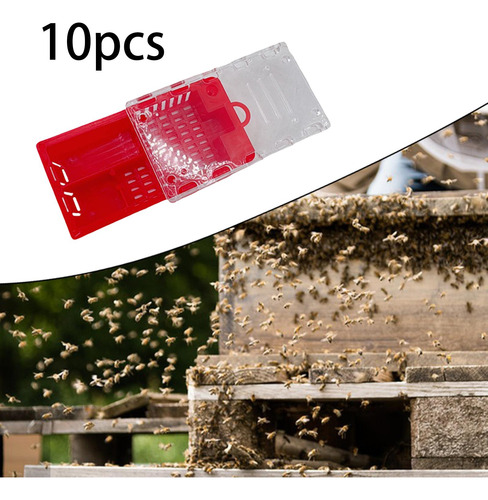 10 Cajas De Cría Para Abejas , Fáciles De Usar, Para Rojo