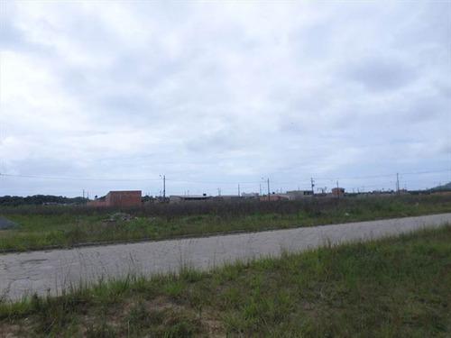 Imagem 4 de 10 de Terreno - Venda - Santa Izabel - Peruibe - Ita2201