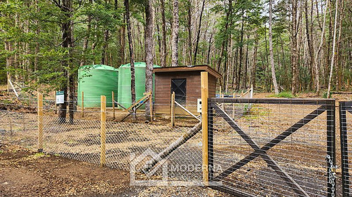 Parcela 5000 M2 En Bosque Pucón Con Bosque Nativo