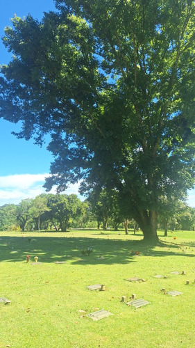 Jazigo  Cemitério Parque Iguaçú Com Três Gavetas Sobrepostas E Lápide.  Situado Em Àrea Nobre.