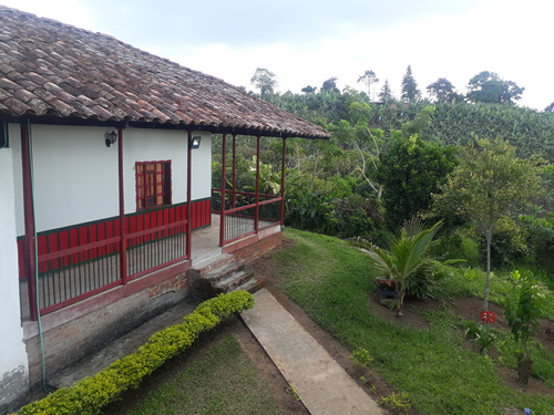 Finca En Circasia Con Naciemiento, Quebrada Y Naciemento 