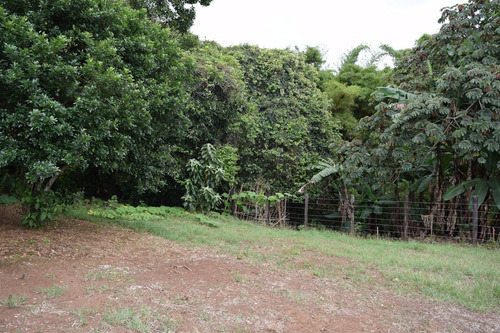 Imagen 9 de 14 de Lote Plano De 878 M2, 400m Al Este Del Lagar En San Isidro
