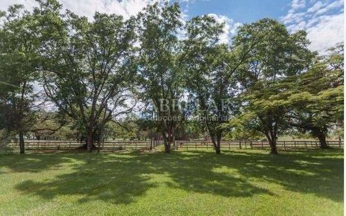 Terreno À Venda Em Residencial Haras Patente - Te005075