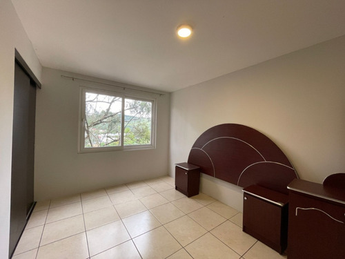 Imagen 5 de 7 de Rento Apartamento En Zona 7 De Ciudad De Guatemala
