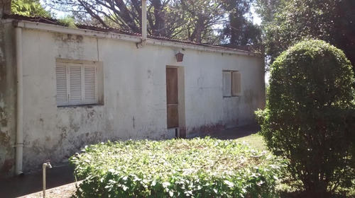Pegado A Country Club Chacras Abbott Oportunidad Venta Campo Terreno 6 Hectareas 53738 M2 Sin Expensas Monte Buenos Aires Casa 4 Ambientes 3 Habitaciones, Baño, Cocina Comedor. Se Escucha Oferta!!!